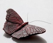 Vlinder donker rood 800